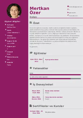 Dalgıç CV Örnekleri cv indir